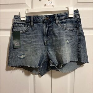 Wild Fable Blue Distressed Jean Shorts